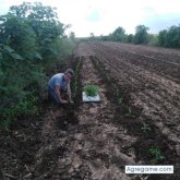 Busco pareja. Mujer de 48 a 60 años.