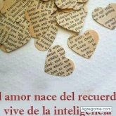 yormansanchez6405 chico soltero en Santander De Quilichao