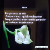 Foto de perfil de Pablo555
