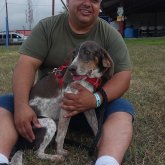 Busco pareja. Amistades de todo tipo y