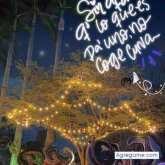 editsontorrealba chico soltero en Santo Domingo Este