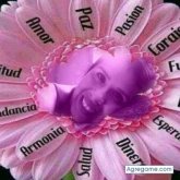 euglydislucelia foto #33