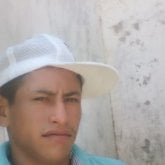 fernandohernandez379