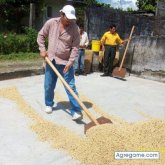 Encuentra Hombres solteros en Acatlán De Pérez Figueroa