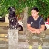 Foto de perfil de leoarquiel
