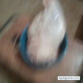 edgareladiobenitez chico soltero en Villarrica