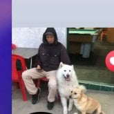 Mujer para formar un hogar. Normal