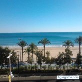 Xico1975 chico soltero en Alicante