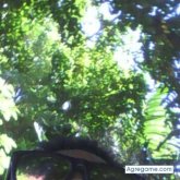 Foto de perfil de bodment