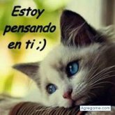 lllllllll chico soltero en Calabozo