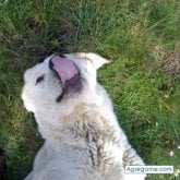 hectormedi87 foto #12