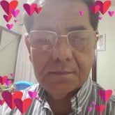 Buscando compañera de por vida para