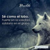 Chatear con HanOver de Tulum