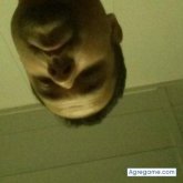 Chatear con jlorenzo de Inglaterra