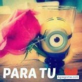 Armentario chico soltero en Quito