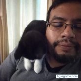 Andrestrein chico casado en Temuco