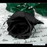 SANGREAZTEKA foto #214