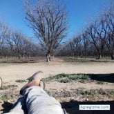 Busco pareja. Mujer Pal trio. Soy quien