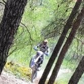 Autónomo. Algo bonito. Mejor en