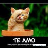 Chatear con 108304 de Freeport