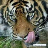 Foto de perfil de betancourdimas