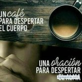 Foto de perfil de Elvimata