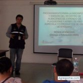 jose141419 chico soltero en El Chaco