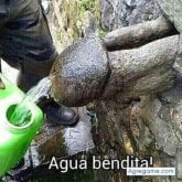 chuquilin diaz sixto