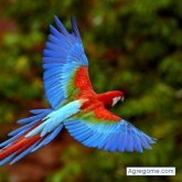 radha chico soltero en 