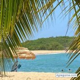 nidoelfuerte chico soltero en Bonao