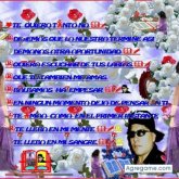 3LTIMIDO foto #7
