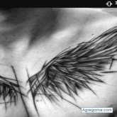 Chatear con Pablotexx de Ancud