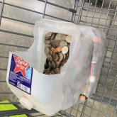 Operador. Busco mujer la edad que sea.