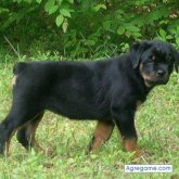 Abogado. Busco conocer gente. Gente para