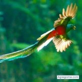 brendaceleste chica soltera en Ixtapaluca