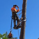 Mujeres de 40 años para arriba. Muy