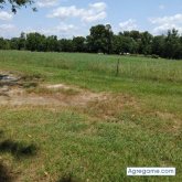 Roycanceco1980 chico soltero en Burlington