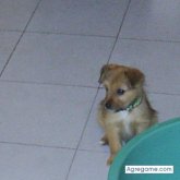 GABIGG chico soltero en Torrelavega