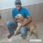 carlosluis3225 chico soltero en Valencia