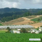 arielramirez2766 chico soltero en Constanza