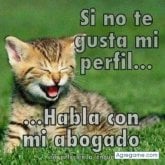 Busco conocer gente. Conocer amigas.