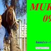 humberto43 chico divorciado en San Pedro De Colalao