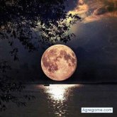 juanka2311 chico soltero en Alajuelita