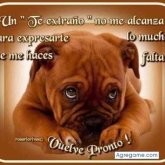 micosvazquez chico soltero en Gualeguay