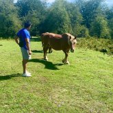 Hombres solteros y chicos solteros en Fitero (Navarra)