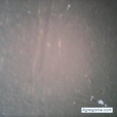 Chatear con Daniel101113 de Piedras Negras