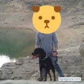 Foto de perfil de dany1369