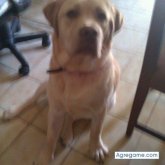 LuNaGoTiCa chica soltera en Badalona