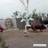 edgaravalos chico soltero en Pisco