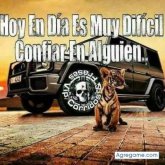 chaquetesancho chico soltero en Villa Guerrero